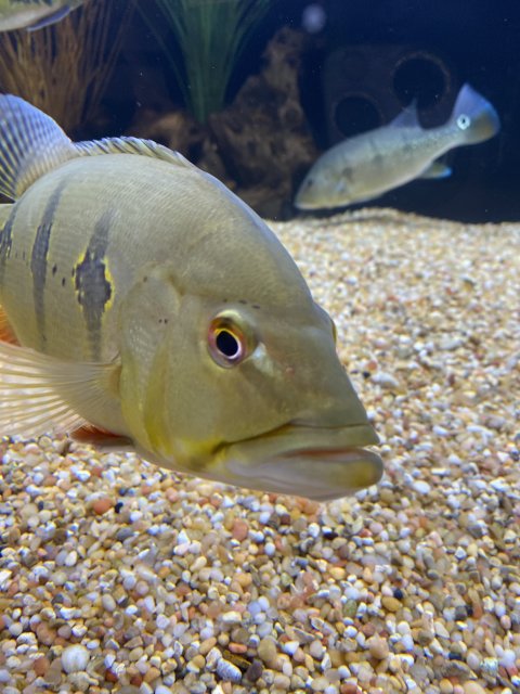 CCB30E92-AE3E-4B25-8899-7834459657D7.jpeg CCB30E92-AE3E-4B25-8899-7834459657D7.jpeg