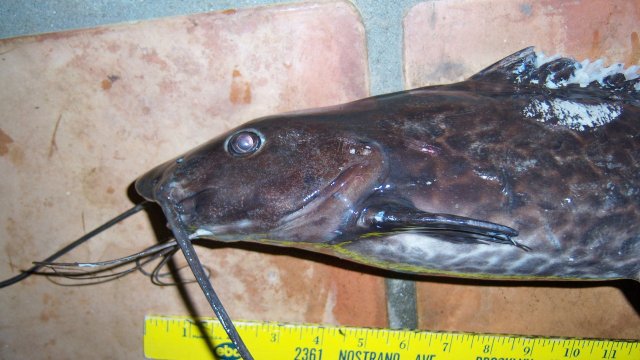 100_9470.JPG 100_9470.JPG