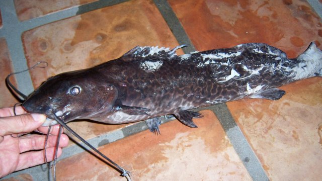 100_9473.JPG 100_9473.JPG