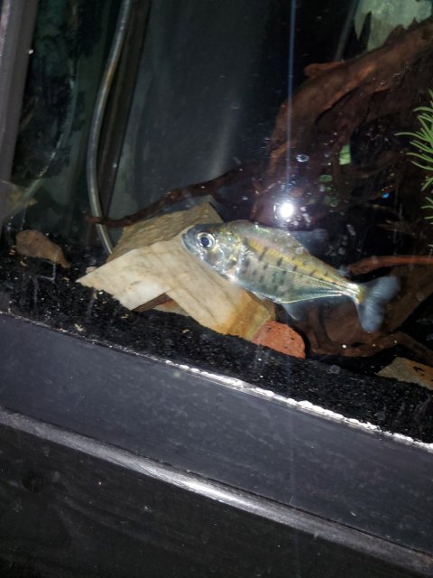 20201223_121356.jpg