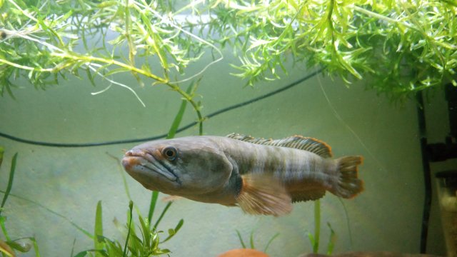 20201231_120551.jpg