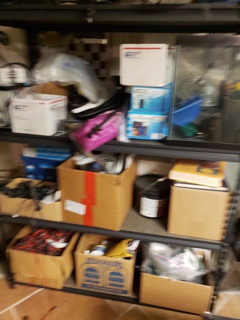 20201231_170515.jpg