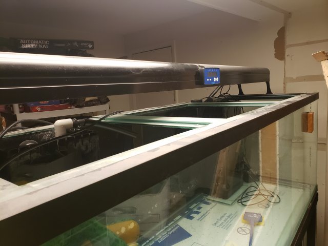 20201231_170201.jpg