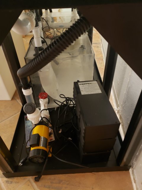 20201231_170150.jpg
