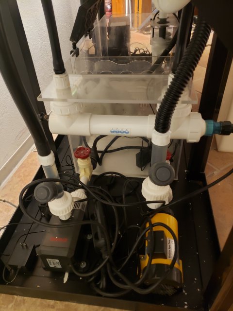 20201231_170141.jpg
