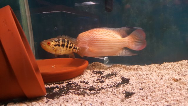 20201217_171639.jpg