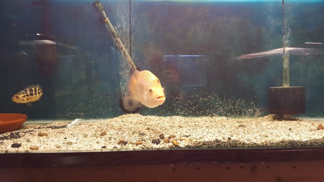 20201230_181341.jpg