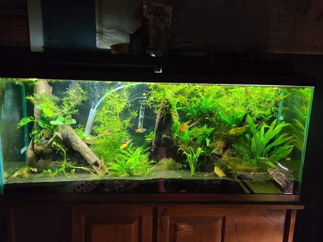 20210101_195813.jpg 20210101_195813.jpg