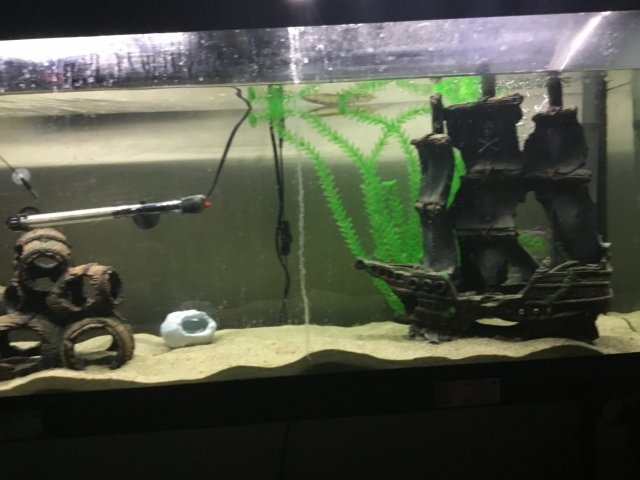 9F7CE307-C008-400F-9B01-651878684E95.jpeg