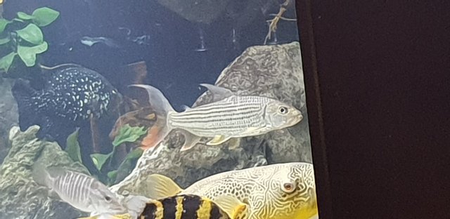 20191118_225911.jpg 20191118_225911.jpg