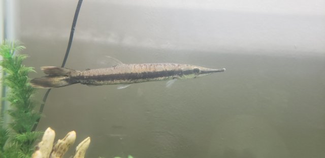 1610171394129698745018485490519.jpg