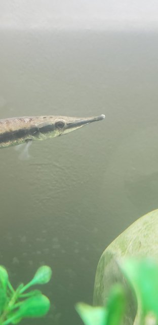16101714431165963949645376926134.jpg