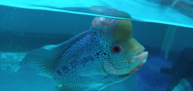 20210109_112739.jpg 20210109_112739.jpg