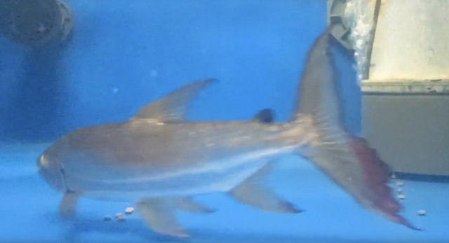 1610394645151.png 1610394645151.png