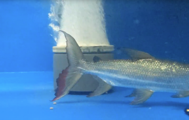 1610394715789.png 1610394715789.png