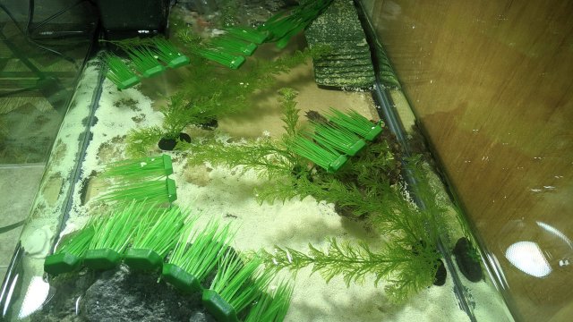 IMG_20210112_121059.jpg