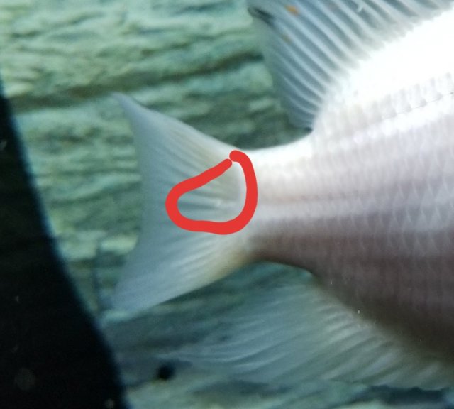 20190412_123808.jpg