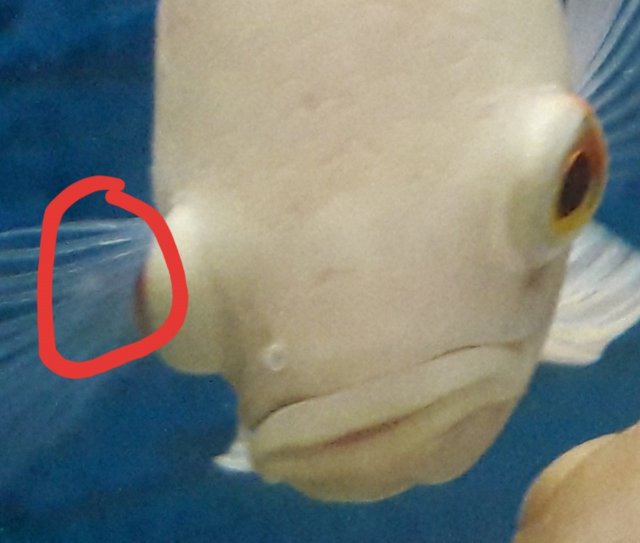 20190412_123542.jpg
