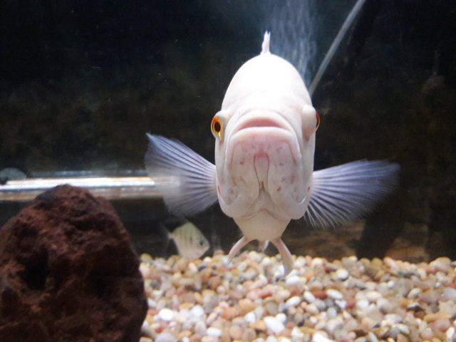 20180319_005238.jpg
