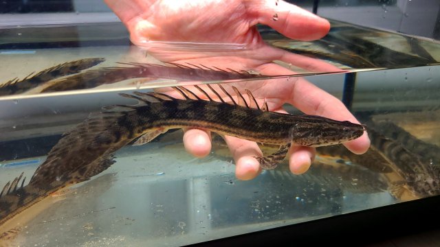 KakaoTalk_20210115_001848033_02.jpg KakaoTalk_20210115_001848033_02.jpg