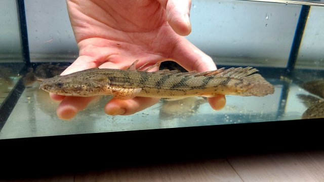 KakaoTalk_20210115_001848033_03.jpg KakaoTalk_20210115_001848033_03.jpg