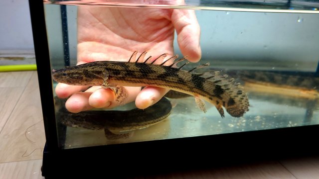 KakaoTalk_20210115_001848033_05.jpg KakaoTalk_20210115_001848033_05.jpg