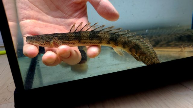 KakaoTalk_20210115_001848033_06.jpg KakaoTalk_20210115_001848033_06.jpg