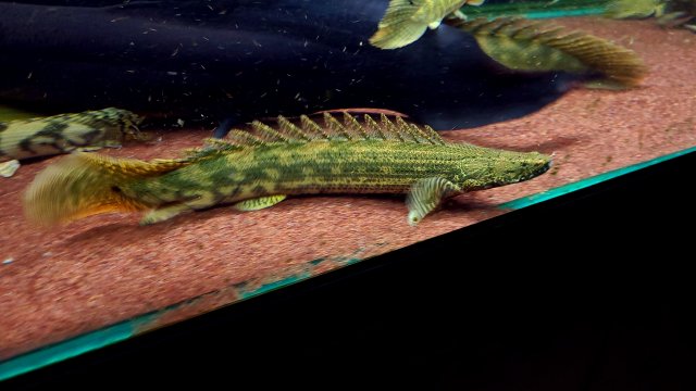 KakaoTalk_20210104_170727688_02.jpg KakaoTalk_20210104_170727688_02.jpg