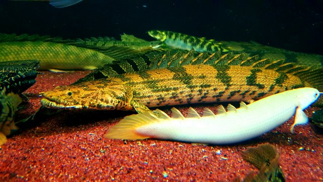 KakaoTalk_20190612_134438897.jpg KakaoTalk_20190612_134438897.jpg