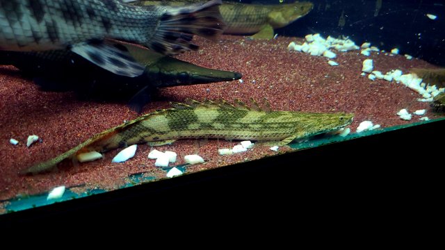 KakaoTalk_20201202_132303701_06.jpg KakaoTalk_20201202_132303701_06.jpg