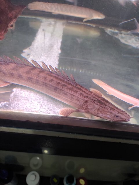 P_20210110_234125.jpg P_20210110_234125.jpg