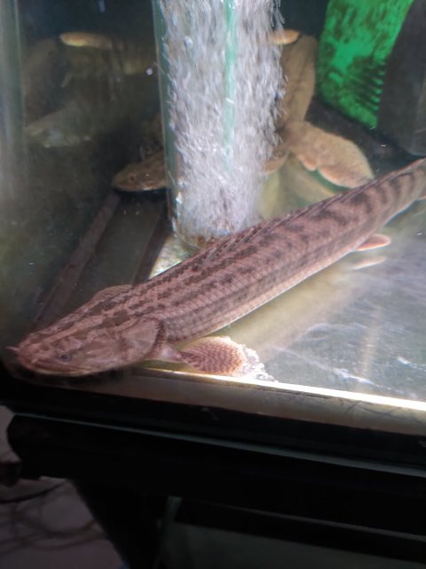 P_20210110_214626.jpg P_20210110_214626.jpg