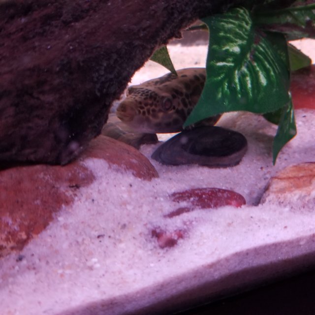 20201202_194451.jpg 20201202_194451.jpg
