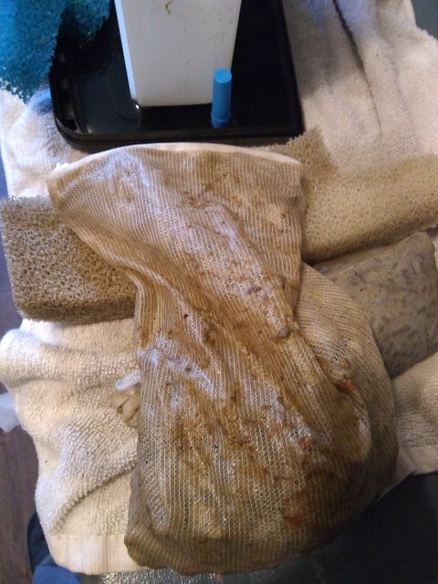 IMG_20210115_095816751.jpg IMG_20210115_095816751.jpg