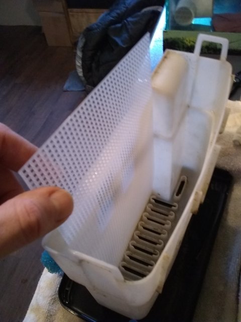 IMG_20210115_095824774.jpg IMG_20210115_095824774.jpg