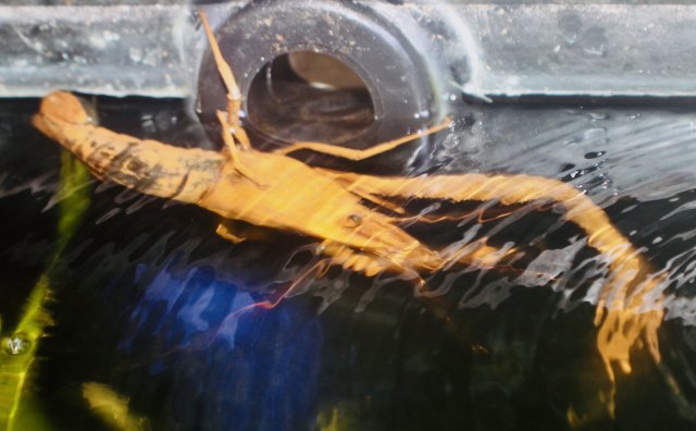 6790A2E3-383B-4874-9A76-51156CD5A693_1_201_a.jpeg 6790A2E3-383B-4874-9A76-51156CD5A693_1_201_a.jpeg