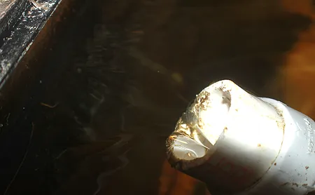 1610800869434.png 1610800869434.png