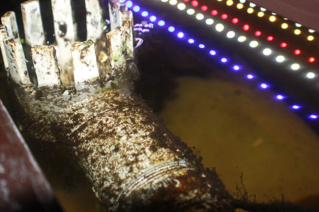 1610800945799.png 1610800945799.png