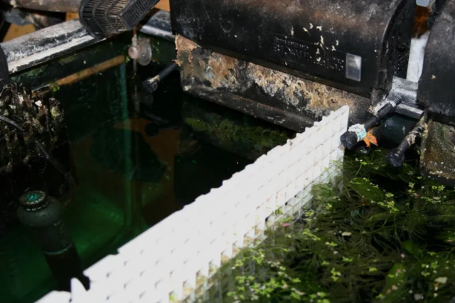 1610801091746.png 1610801091746.png