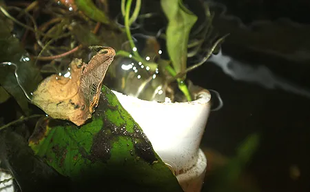 1610801194324.png 1610801194324.png