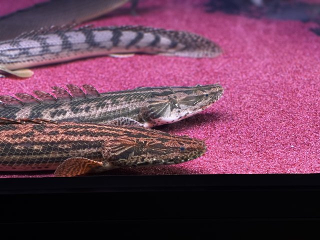 KakaoTalk_20210116_231414895.jpg KakaoTalk_20210116_231414895.jpg