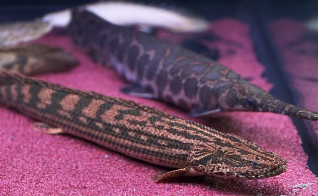 KakaoTalk_20210116_231414895_02.jpg KakaoTalk_20210116_231414895_02.jpg