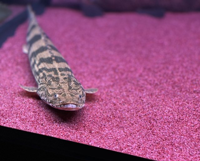 KakaoTalk_20210116_231615243_01.jpg KakaoTalk_20210116_231615243_01.jpg