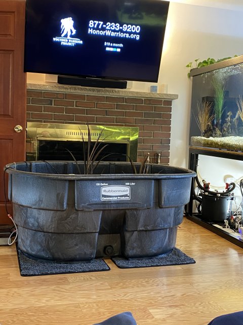 05083EB4-1D5D-4A3A-98E3-9E01C22ADF89.jpeg 05083EB4-1D5D-4A3A-98E3-9E01C22ADF89.jpeg