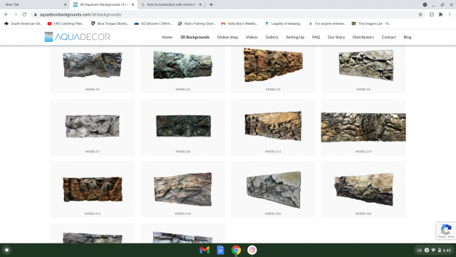 Screenshot 2021-01-19 at 6.45.55 AM.png