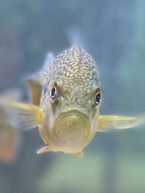 6E980F9B-1C91-4A75-8B0A-94F1A251E7F9.jpeg