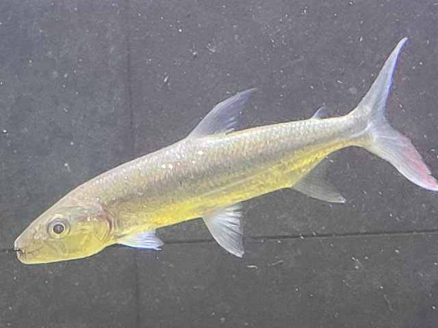 20210121_133646.jpg 20210121_133646.jpg