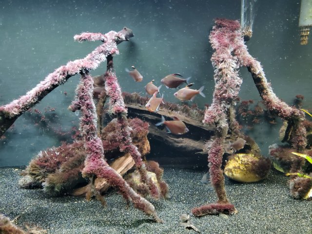 20210116_183241.jpg 20210116_183241.jpg