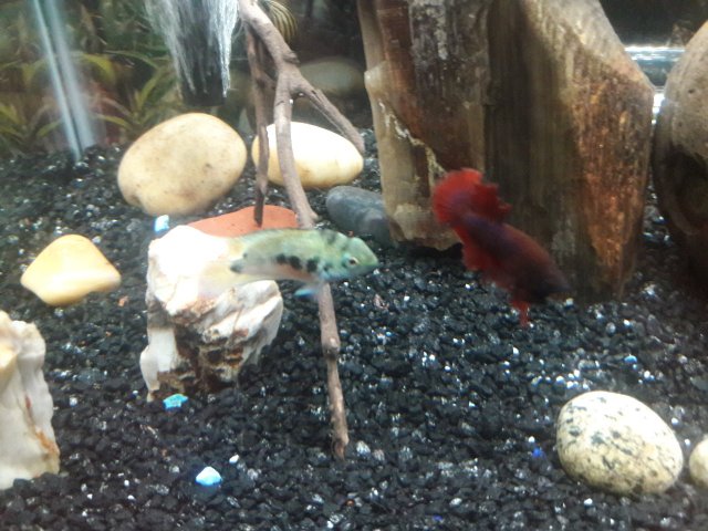 20180320_105533.jpg 20180320_105533.jpg