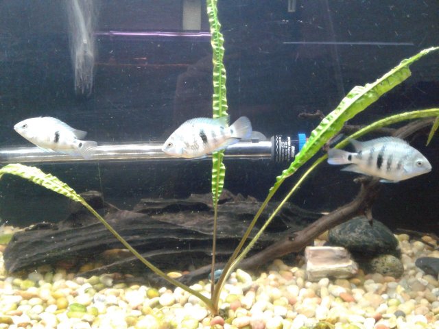 20181227_110202.jpg 20181227_110202.jpg